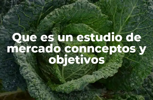 Que es un Estudio de Mercado Connceptos y Objetivos