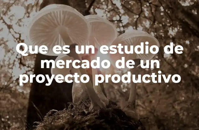 Que es un Estudio de Mercado de un Proyecto Productivo