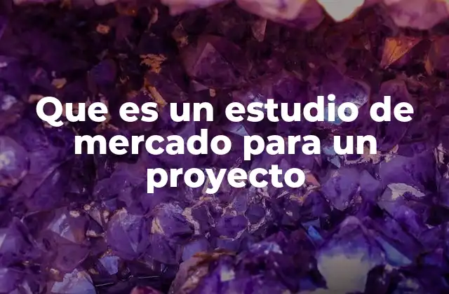 Que es un Estudio de Mercado para un Proyecto