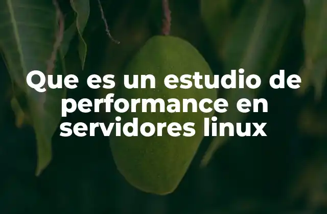 Que es un Estudio de Performance en Servidores Linux 2 Cómo los servidores Linux manejan el rendimiento bajo carga