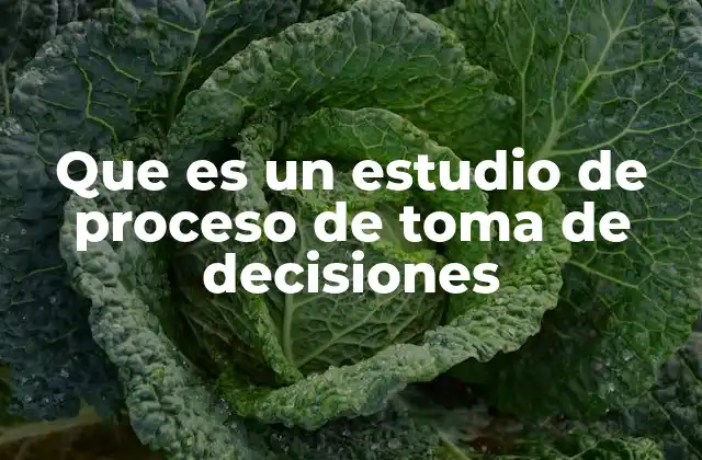Que es un Estudio de Proceso de Toma de Decisiones 2 Entendiendo la estructura de los procesos decisionales