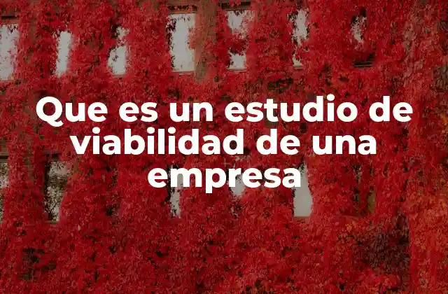 Que es un Estudio de Viabilidad de una Empresa