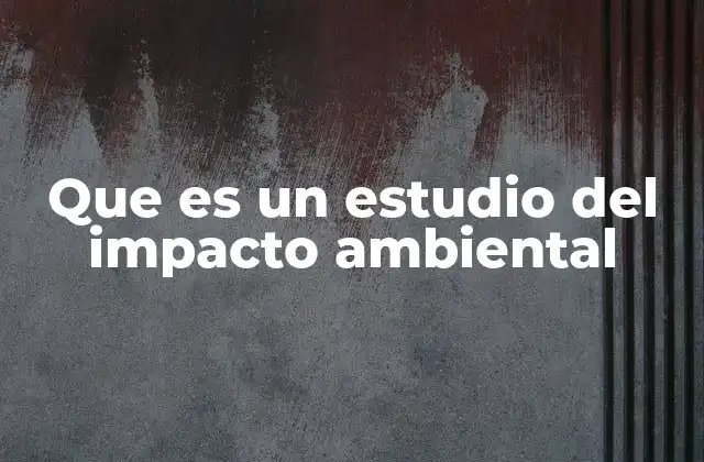 Que es un Estudio Del Impacto Ambiental