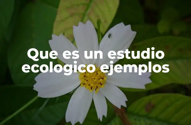La importancia de los estudios ecológicos en la gestión ambiental