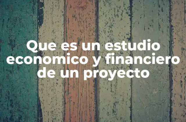 Que es un Estudio Economico y Financiero de un Proyecto