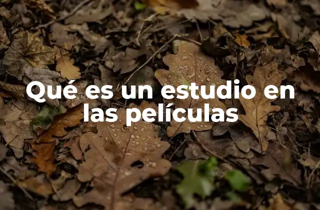 Qué es un Estudio en las Películas