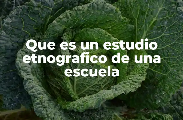 Que es un Estudio Etnografico de una Escuela