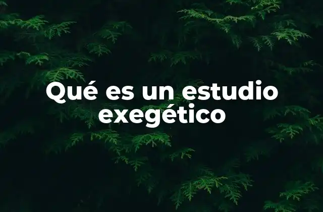 Qué es un Estudio Exegético