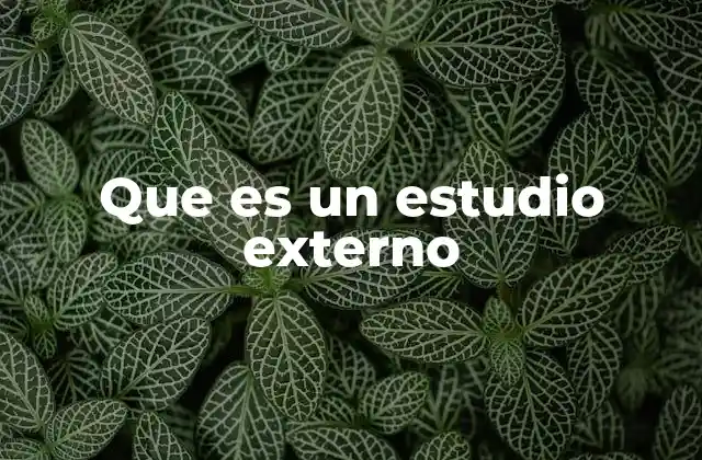 Que es un Estudio Externo