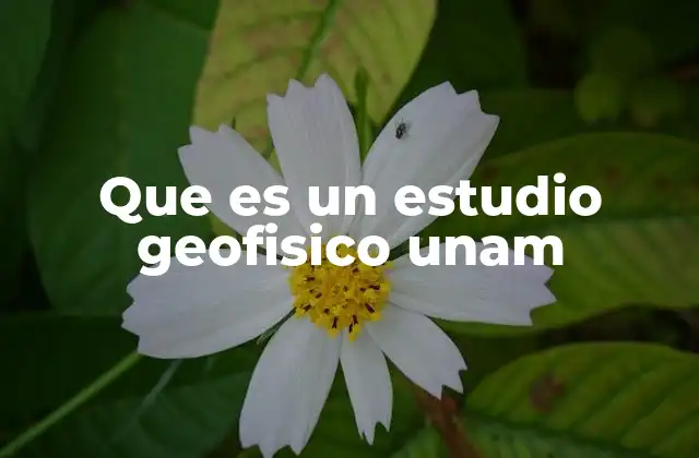 Que es un Estudio Geofisico Unam