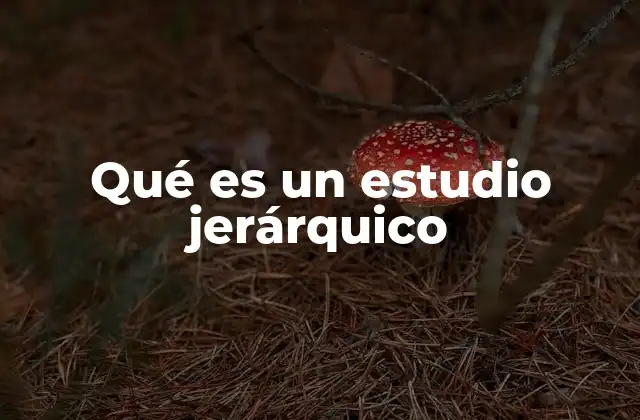 Qué es un Estudio Jerárquico