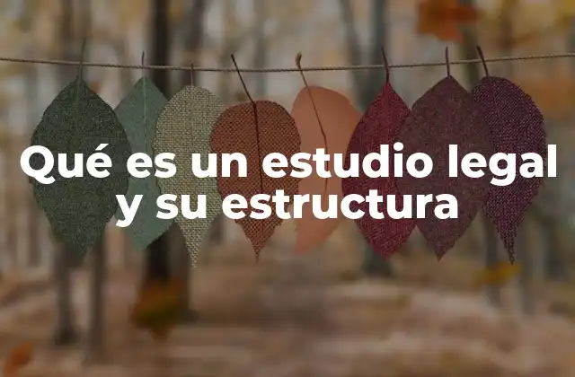 Qué es un Estudio Legal y Su Estructura
