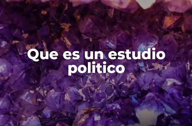 Que es un Estudio Politico