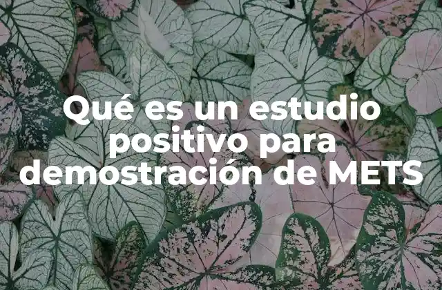 Qué es un Estudio Positivo para Demostración de Mets