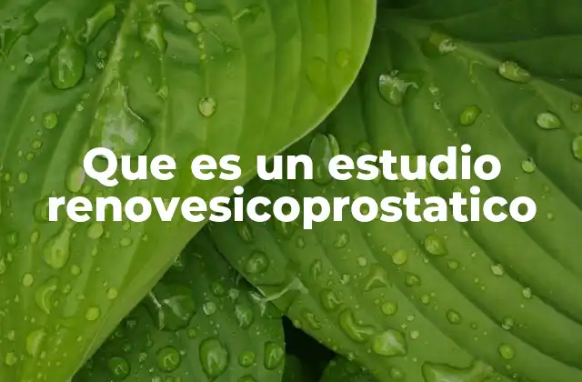Que es un Estudio Renovesicoprostatico