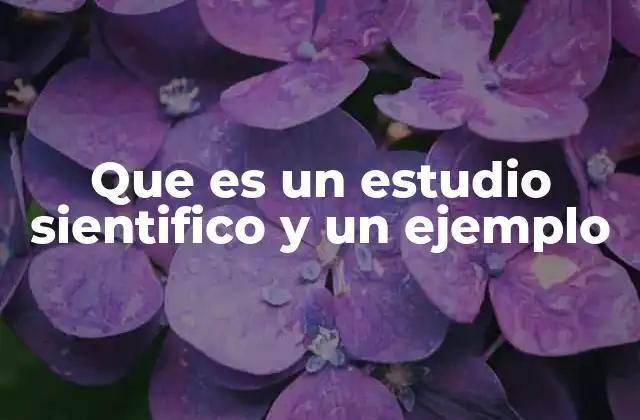 Que es un Estudio Sientifico y un Ejemplo