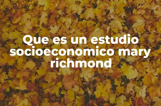 Que es un Estudio Socioeconomico Mary Richmond