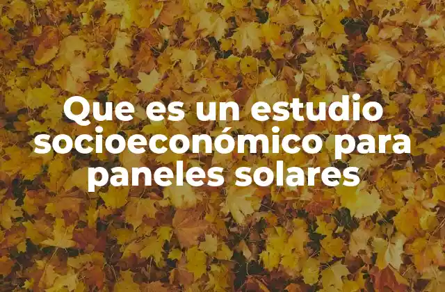 Que es un Estudio Socioeconómico para Paneles Solares
