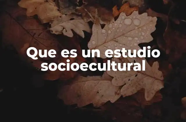 Que es un Estudio Socioecultural