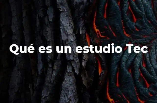 Qué es un Estudio Tec