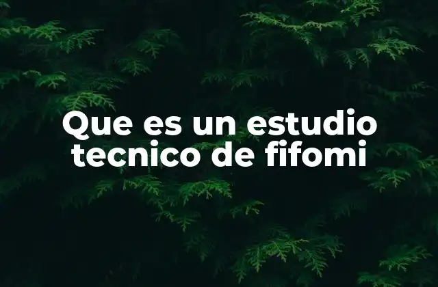Que es un Estudio Tecnico de Fifomi