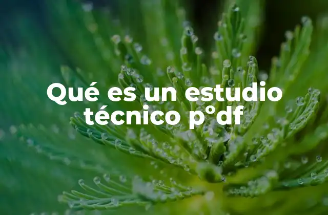 Qué es un Estudio Técnico Pºdf