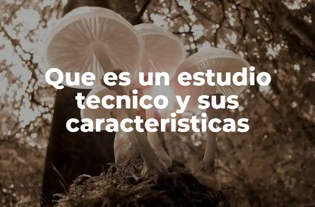 Que es un Estudio Tecnico y Sus Caracteristicas