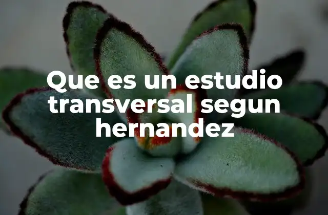 Que es un Estudio Transversal Segun Hernandez