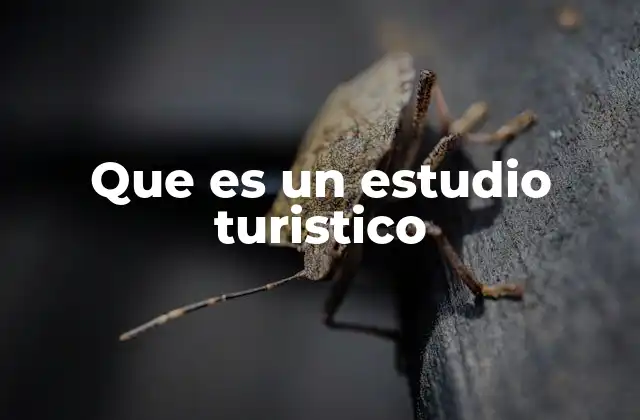 Que es un Estudio Turistico