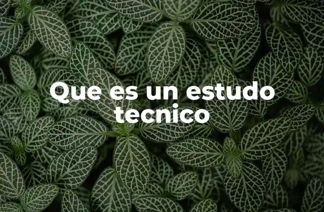 Que es un Estudo Tecnico