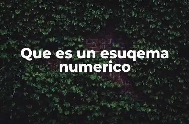 Que es un Esuqema Numerico