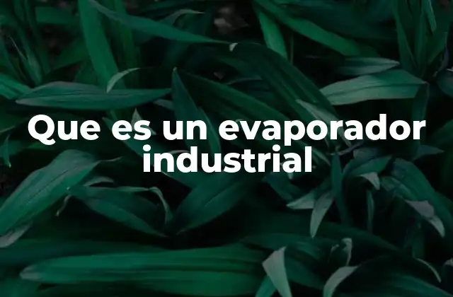 Que es un Evaporador Industrial