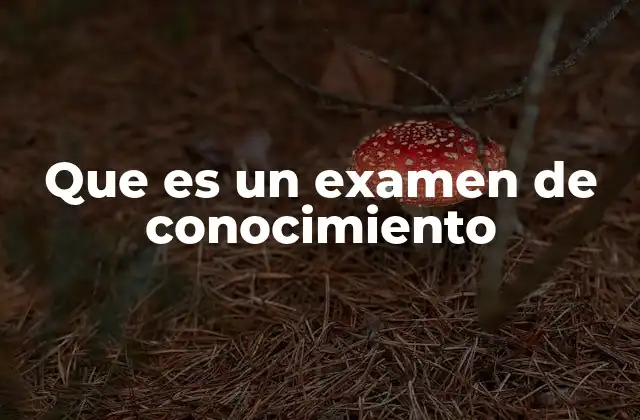 Que es un Examen de Conocimiento