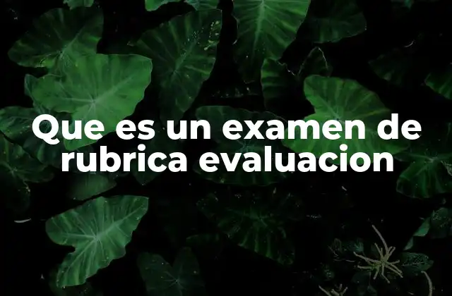 Que es un Examen de Rubrica Evaluacion