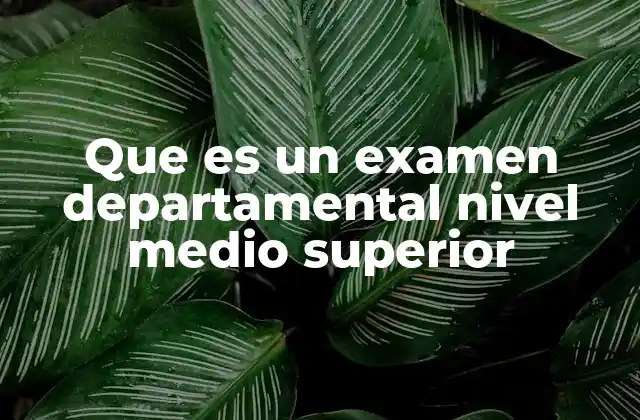 Que es un Examen Departamental Nivel Medio Superior
