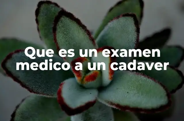 Que es un Examen Medico a un Cadaver
