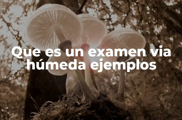 Que es un Examen Via Húmeda Ejemplos
