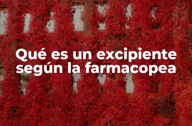Qué es un Excipiente según la Farmacopea