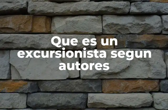 Que es un Excursionista Segun Autores