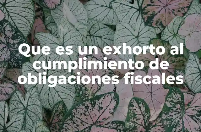 Que es un Exhorto Al Cumplimiento de Obligaciones Fiscales