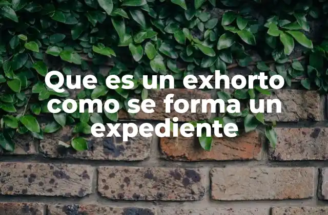 Que es un Exhorto como Se Forma un Expediente