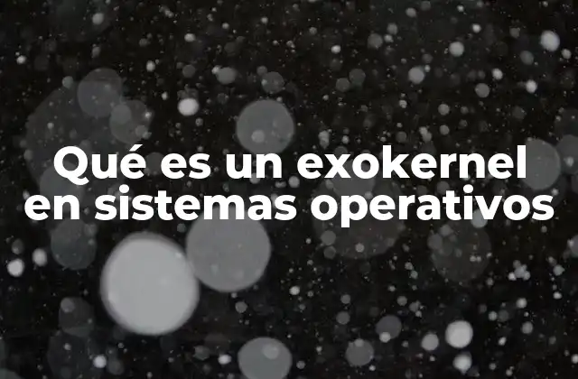 Qué es un Exokernel en Sistemas Operativos