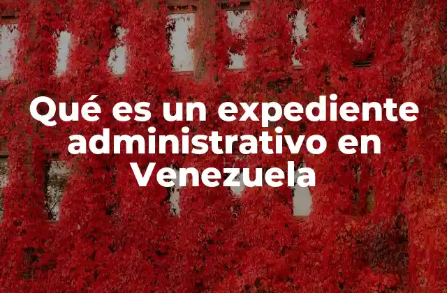 Qué es un Expediente Administrativo en Venezuela 2 El rol del expediente en la gestión pública venezolana