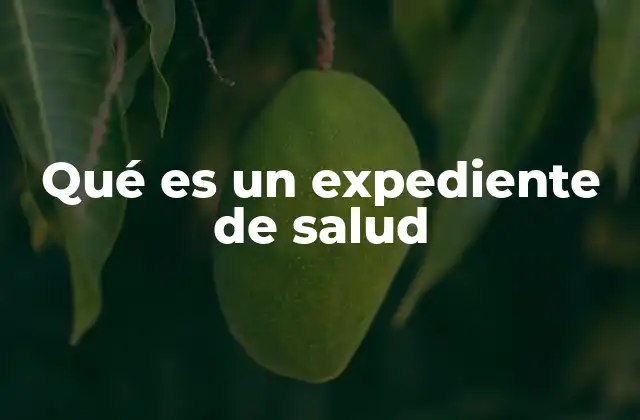 Qué es un Expediente de Salud