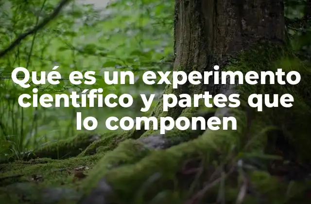 Qué es un Experimento Científico y Partes que Lo Componen