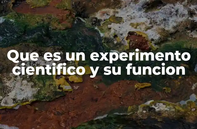 Que es un Experimento Cientifico y Su Funcion 2 La importancia de los experimentos en la investigación científica