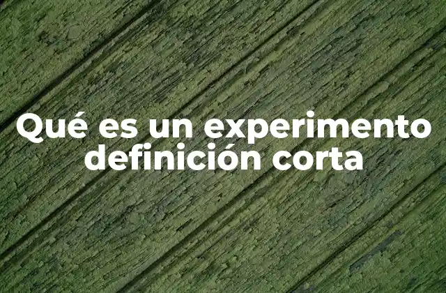 Qué es un Experimento Definición Corta