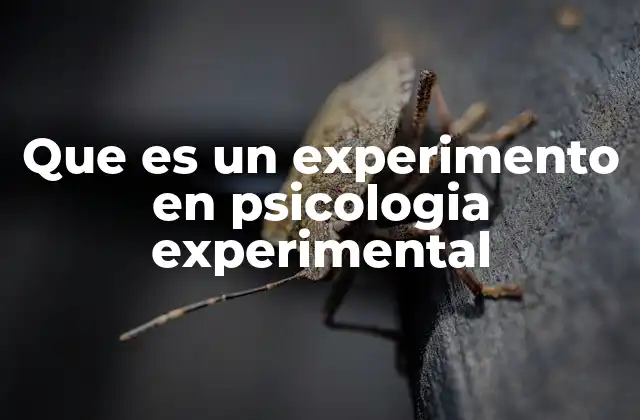 Que es un Experimento en Psicologia Experimental