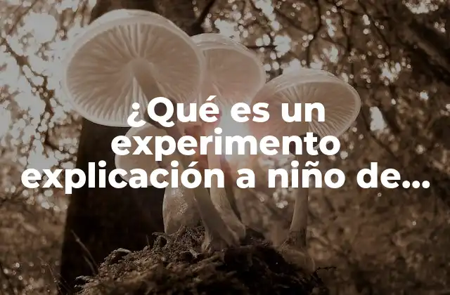 Cómo los niños pueden aprender jugando con experimentos