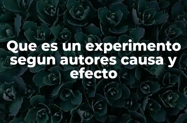 Que es un Experimento Segun Autores Causa y Efecto